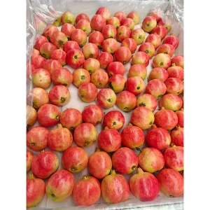 Fresh Crop Tunisian Ruby Red Pomegranate Seeds Grade 350g+ Soft Sweet Arils Juicy Delicious 15% Brix Ready Eat