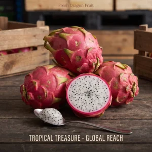 Fresh Dragon Fruit Delicious Pitaya Nutritious Red Dragon Fruit