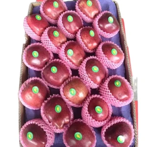 Fresh Fruit Importers Fresh apple Fresh apple Fruit Fuji apple of Yantai Area