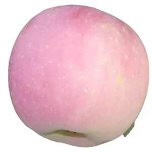 Fresh Fruits Chinese Factory Lower Price Fresh apple From China