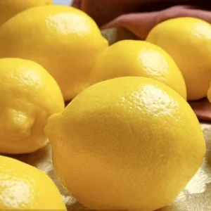 Fresh Fruits Vegetables High quality Imported China Seedless Lemons Long lasting Freshness Superior Taste Cool