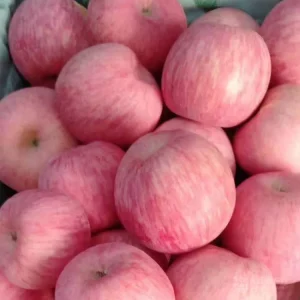 Fresh Fuji apple Market Price Fresh apple with Super Quality