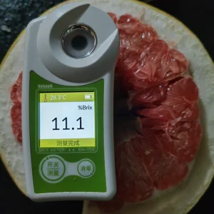 Fresh Grapefruit & Sweet Pomelo From Zhangzhou Brand High Quality 10KG CTNS Grade 1