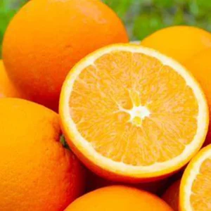 Fresh Juicy Chinese Mandarin Oranges Sweet Delicious Taste Factory Supply Mandarin