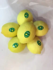 Fresh Lemon for Drinks, Oval-Round, New Crop