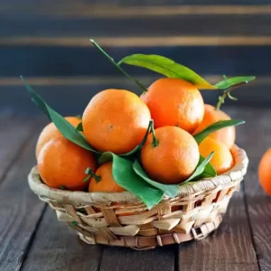 Fresh Mandarin Oranges Fresh Bulk Citrus Fruit From China Orange Supplier