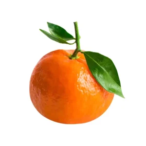 Fresh Mandarine Orange Tangerine