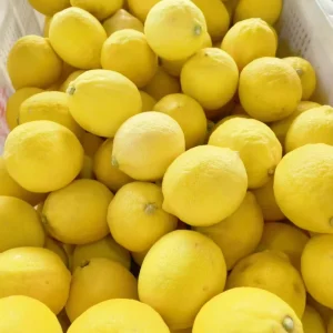 Fresh Orange Lemon Citrus Fruits ISO Certified China Origin Farm Packaged 65 100 cm Size Top Grade Bulk Carton 1 Year Shelf Life