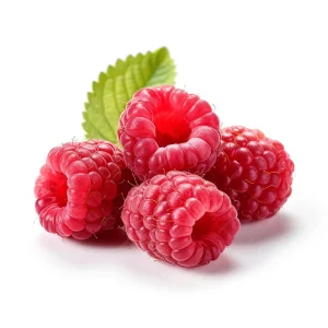 Frozen 90/10 Raspberry IQF Frozen Raspberry BRC HACCP