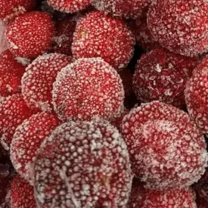 Frozen Fruits IQF Fruits Yang Mei Red Waxberry Chinese Bayberry for Sale