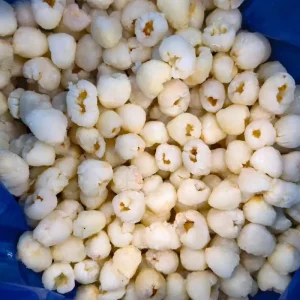 Frozen Lychee Pulp Pitted Litchi for Bubble Tea and Refreshing Beverage Preparation Natural Sweet Fruit