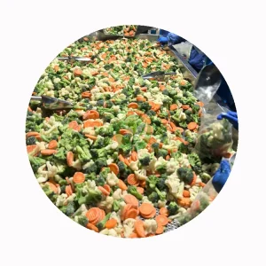 Frozen Mixed Veggie Pack Premium Quality XMSD Supplier ISO Certified 1kg Bag