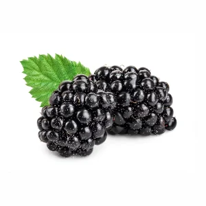 Frozen Mulberry Whole