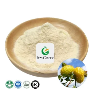 Fruiterco Supply OEM Mixed Fruit Powder VC SOD Powder Spray Dried Freeze Dried Rose Fruit Powder Natural Roxburgh Rose Powder
