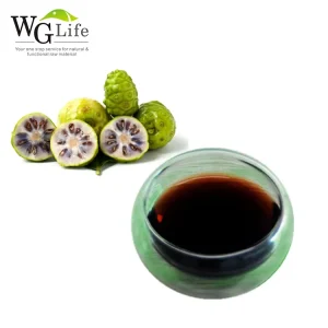 Hainan Professional Manufacturer Supply Fresh Natural Pure Noni Fruit Enzyme Juice Concentrate