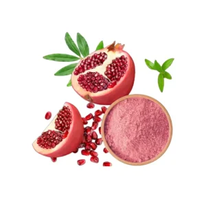 Halal Certified Fresh Fruit High Quality Pomegranate Juice Powder