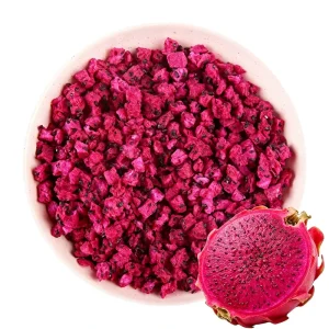 Halal FD Freeze Dried Sweet Dragon Fruit Dices Bulk Syrup Packaging Milk Yogurt Cereal Breakfast Bowl Low MOQ Custom Vegan