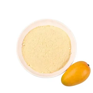 Halal Freeze Dried (FD) Sweet Mango Powder Water Preserved Low MOQ Custom Packaging Vegan Bulk Smoothie Mix Ingredient