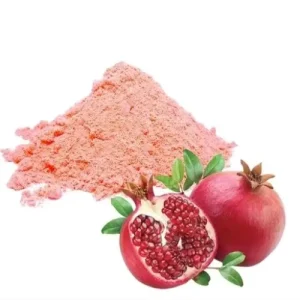 High Grade Fresh Fruits Red Pomegranate Juice Powder Water Soluble Pomegranate Juice Powder Pomegranate Extract