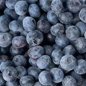High Quality Bulk IQF Frozen Blueberries 10kg Fruit Pack