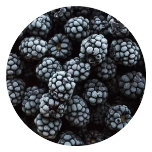High Quality Bulk IQF Fruit Blackberries Healthy Frozen Blackberries