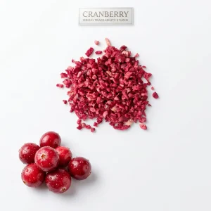 High Quality Freeze Dried Cranberry Cubes for Cereal Bakery & Yogurt