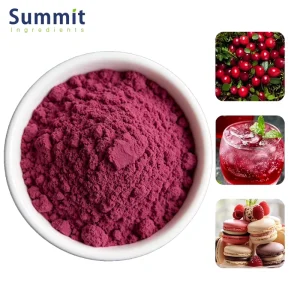 High Quality Freeze Dried Cranberry Fruit Powder Food Grade Organic Cranberry Extract Juice Powder Anthocyanins with OEM Service