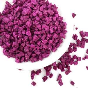 High Quality Freeze Dried Dragon Fruit Diced New Crop Dried Fruit Product