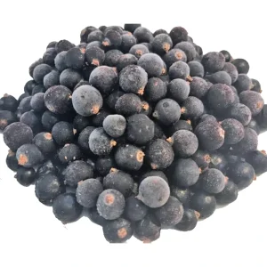 High Quality Frozen Blackcurrant IQF Use for Fruit Filling Juice Concentrate Yogurt Topping and Jam Making