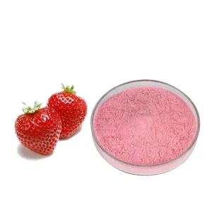 High Quality Fruit Juice Concentrate Powder Instant Strawberry Fruit Flavored Drink Powder