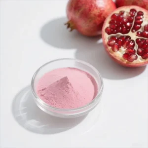 High Quality Instant 100% Pure Organic Pomegranate Juice Powder Water Soluble Pomegranate Powder