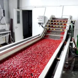 High Quality Multi function Date Jujube Jam Molasses Syrup Juice Concentrate Paste Processing Making Machine Production Line