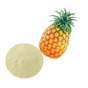 High Quality Pineapple Concentrate Juice Powder Spray Dried Fruit Powder in Drum Can Plastic Container Packaging