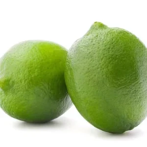 High quality Fresh Green Seedless Lemons From China Origin Natural Nutrition for Growing Vegetables & Fruits