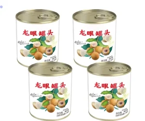 High quality Ocean Fresh Canned Longan Brine Preserved Whole Fruit Sweet Flavor Nutritious Seasoning Water