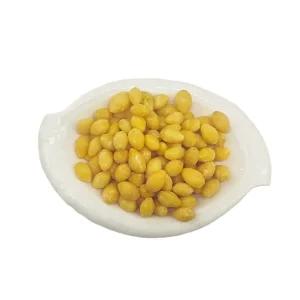 IQF Freeze Dried Complex Fruit Pastry Food Ginkgo Nuts China Dried Apple Fruit Slices Edible Dried Fruit From China
