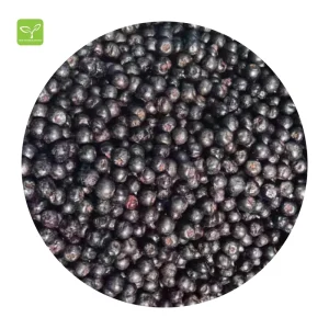 IQF Frozen Aronia Bulk Frozen Aronia Frozen Fruit Fresh Aronia Berries