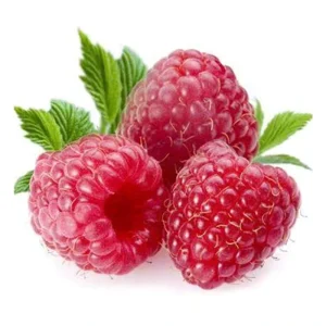 IQF Frozen Raspberry Natural Tropical Berry Factory Direct Supply for Catering Food Service and Raw Material