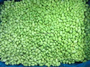 IQF Frozen Soybean Edamame Bean Kernel Premium Quality Frozen Vegetables