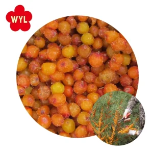 IQF Sea Buckthorn Berry Frozen Fruit