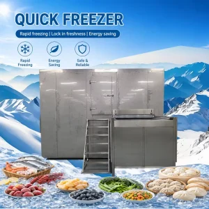 IQF Tunnel Blast Freezer Stainless Steel 500kg h Quick Freezing Equipment for Meat Fish Fruits Vegetables