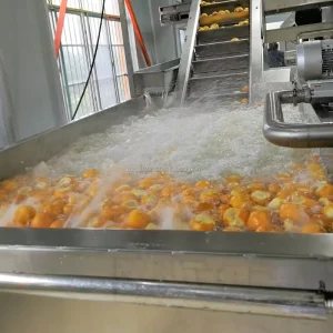 Industrial Citrus Lemon Orange Processing Plant Machinery Orange Concentrate Production Line