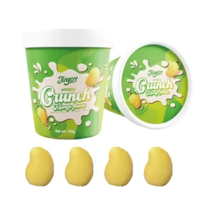 Jingcre Low Fat HALAL Certified Ice Cream Pops Fruity Mango Flavors 2% Brix Ready Eat Mini 3D 150g 12 count Box