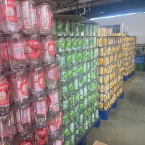 Juice Cool Fructose Fruit & Vegetable Juice 350ml PET CAN Fruit Flavor Sparkling Drinks Natural Preservatives for Fruit Juice