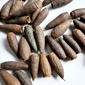Kittiba Fruit Dried Flowers Fruit Shells Aquarium Hiding Places for Fish and Shrimp Fry