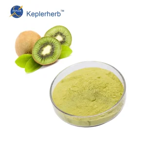 Kiwi Fruit Extract Powder Actinidia Chinensis Dried Fruit Powder From India