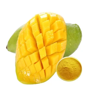 Manufacturer Food Grade Natural Fruit Extract Mango Extract Powder Pure Freeze Dried Solvent Extraction Drum 10 1