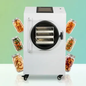 Mini Home Freeze Dryer Lyophilizer Automatic PLC Pump Electric Heating Machine