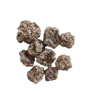 Mu Tian Liao New Dried Wild Silver Vine Fruits for Cats
