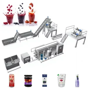 Multifunctional High Efficiency Strawberry Production Line Strawberry Production Machinery Industrial Strawberry Processing Line